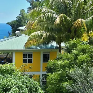 Mango Garden Tanetane
