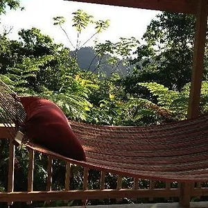 Roots Jungle Retreat Marigot